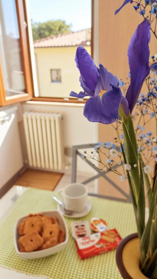 Appartement Casa Lilly à Porto SantʼElpidio Extérieur photo